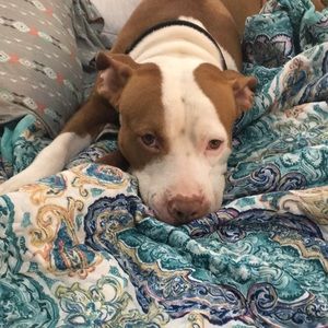 Meet your Posher, Felicia